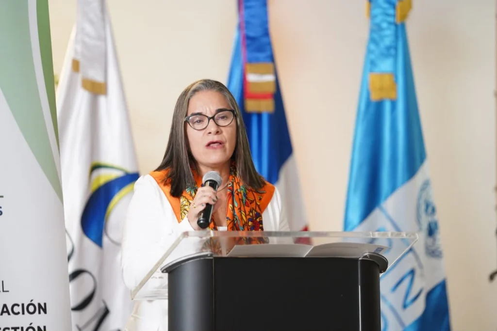 Ana María Díaz habla al micrófono en el atril del foro, con el pendón del Foro Nacional PMGIRS a su lado